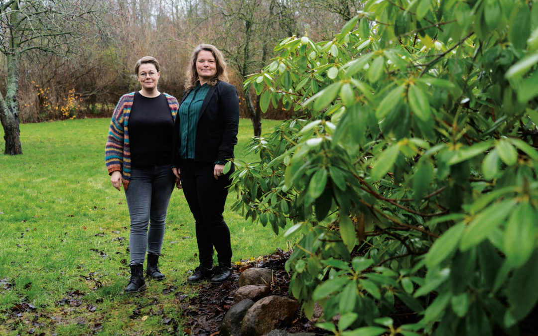 BOAS-tilbud med klar beskæftigelsesprofil i Aarhus