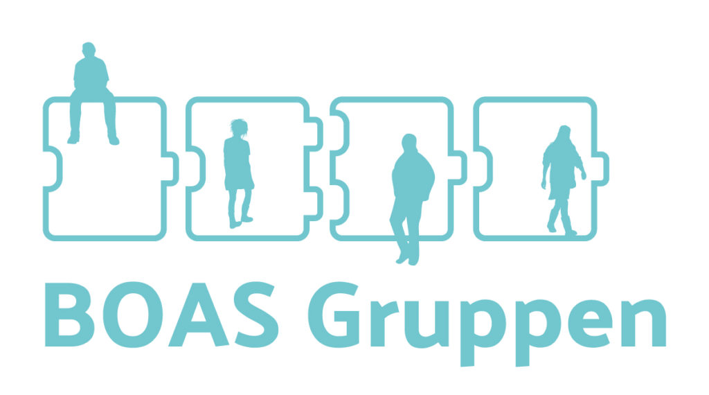 BOAS Gruppen logo