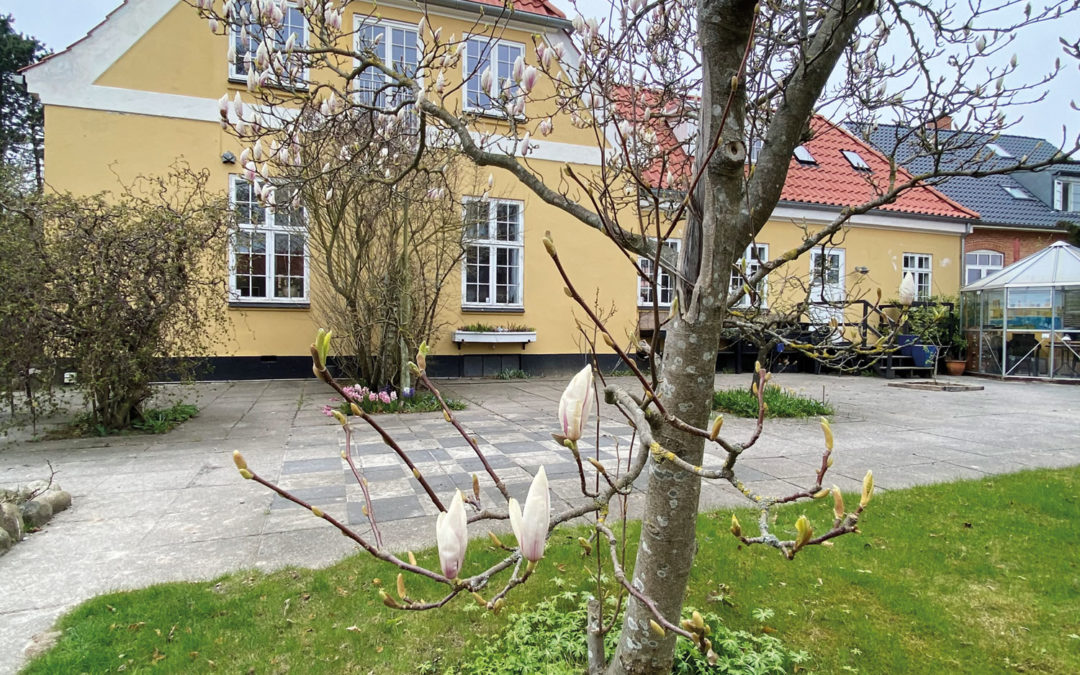 Drømme og skæbnefællesskab mødes i villaen