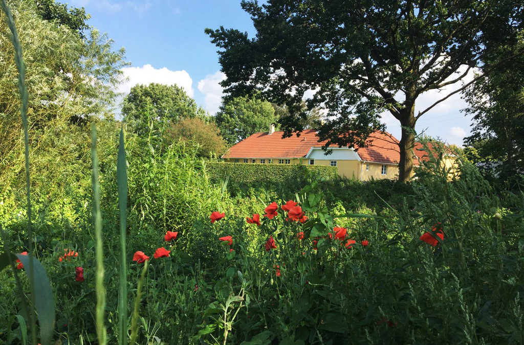 Det her er en chance, som jeg vil sige ja til