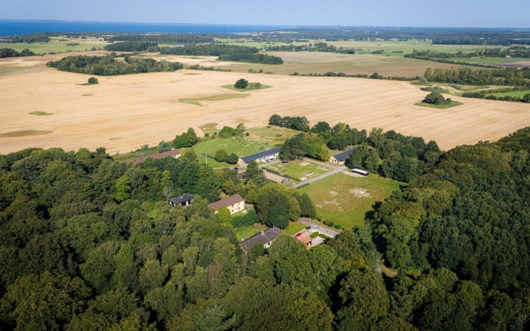 Insekter, tallerkener og afhuggede fingre åbner for nyt fællesskab i Jægerspris